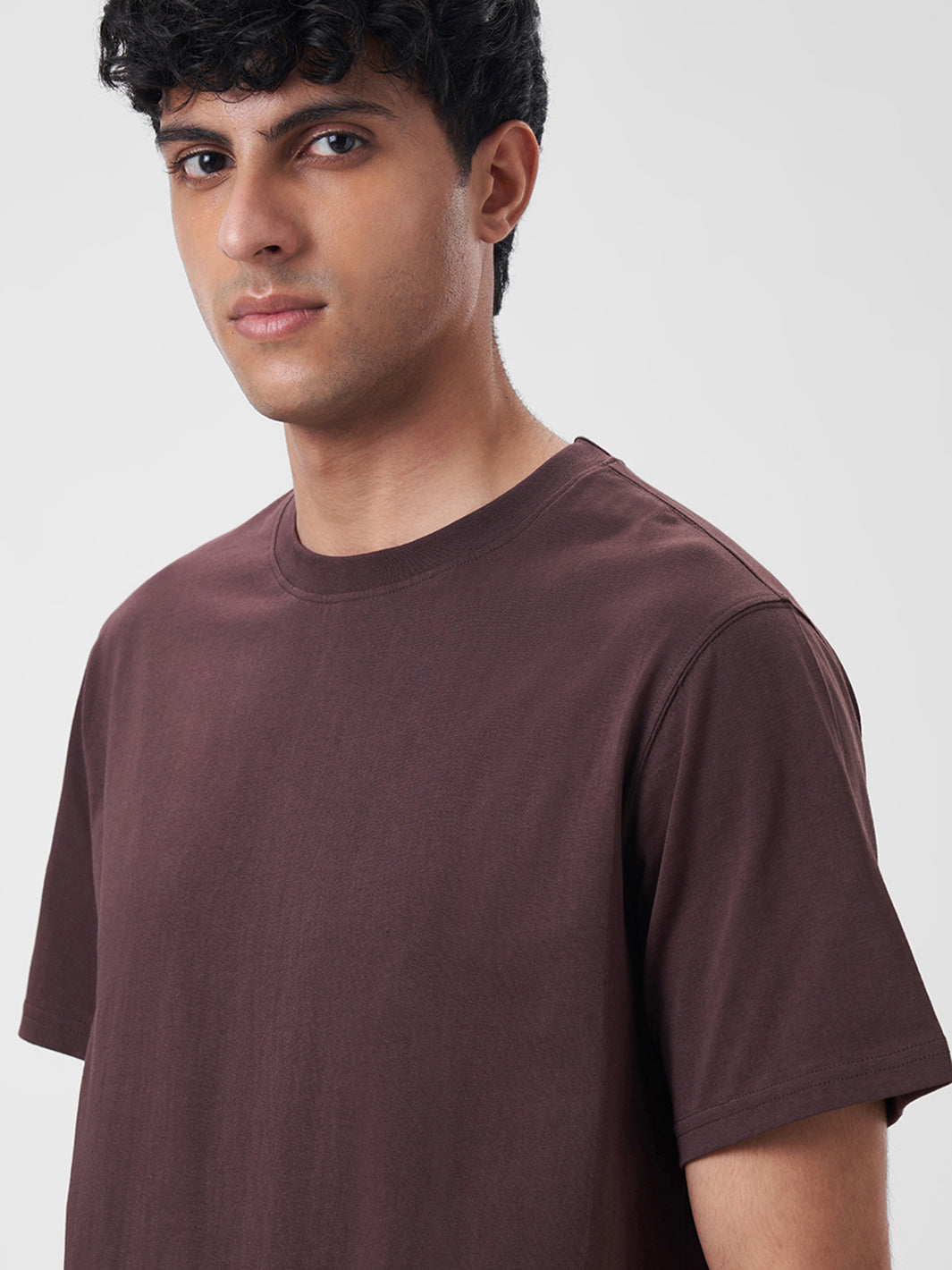 Mens Regular T Shirt Cocoa Brown